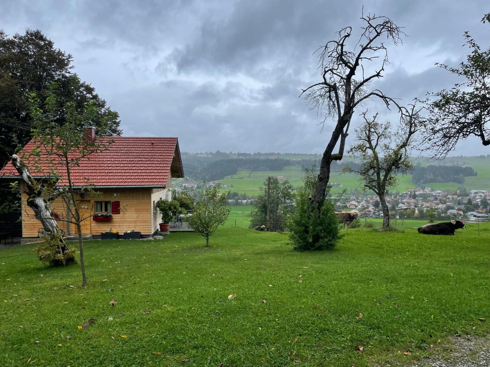 Ferienhaus Talblick Вайлер-Зіммерберг Екстер'єр фото